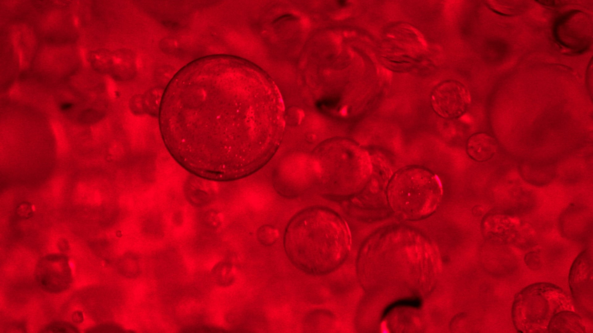 ΣΥΜΠΛΟΚΟ ΕΝΙΣΧΥΣΗΣ ΚΟΛΛΑΓΟΝΟΥ